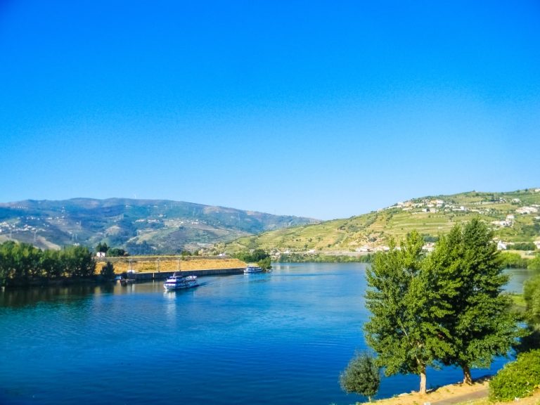 Boat Trip To Régua Through The Douro Valley With Breakfast And Lunch - Let yourself be amazed with the charms of the Douro...